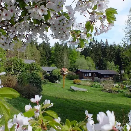 Idyllische Ferienhauser Am Waldrand Vakantiehuis